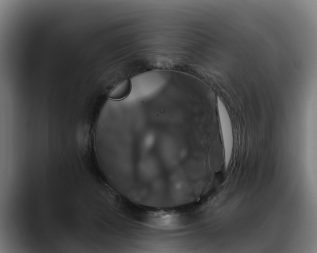 X0000088470511200705291551