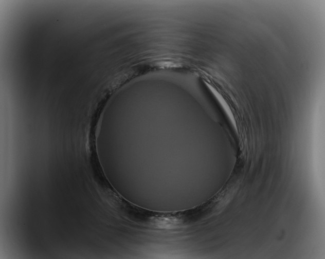 X0000088470512200705291551