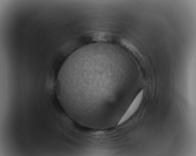 X0000088470513200705291551