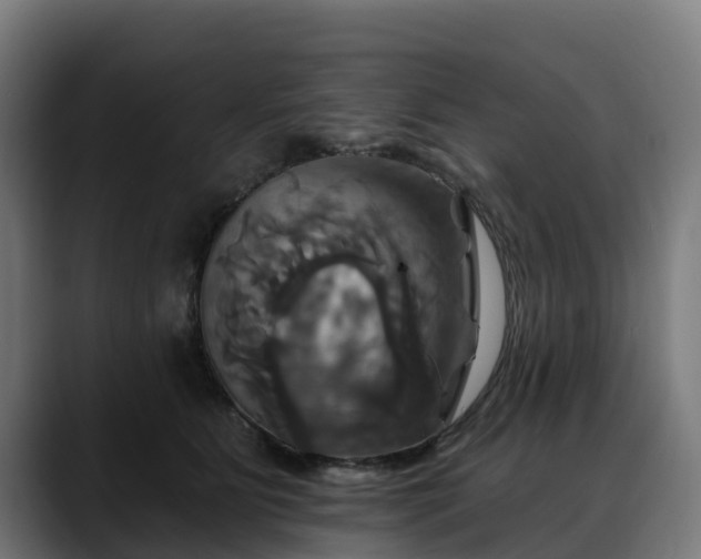 X0000088470515200705291551