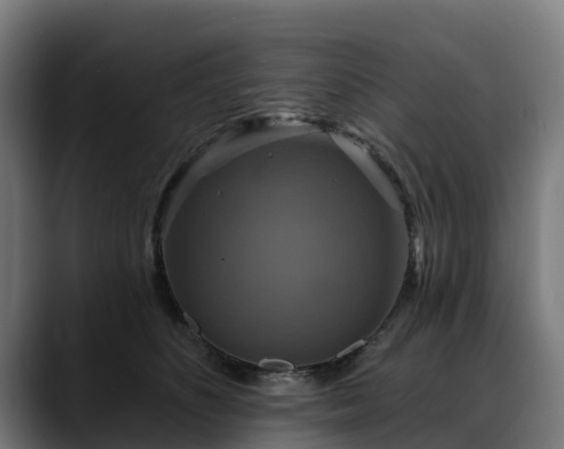 X0000088470516200705291551