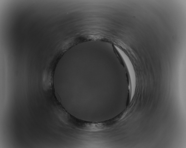 X0000088470517200705291551