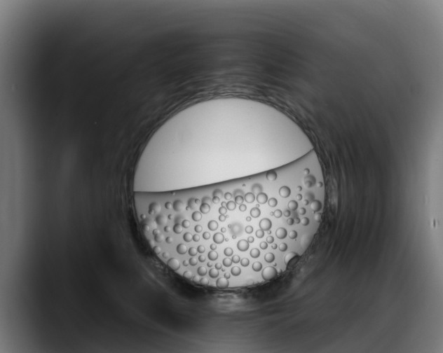 X0000088470519200705291551