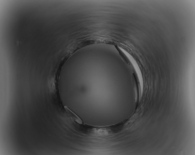 X0000088470520200705291551