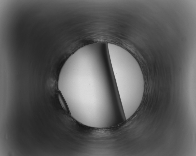 X0000088470521200705291551