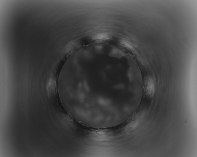 X0000088470523200705291551