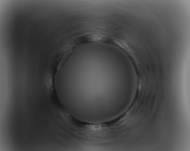 X0000088470524200705291551