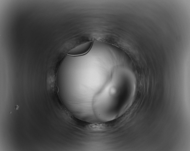 X0000088470526200705291551