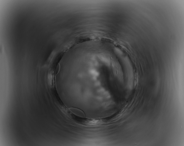 X0000088470527200705291551