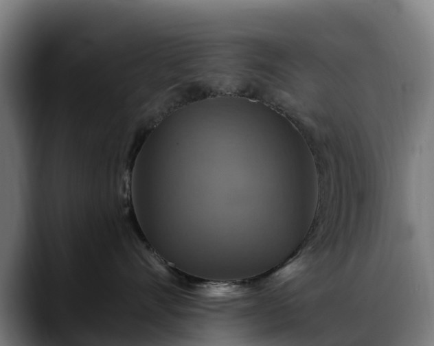 X0000088470528200705291551