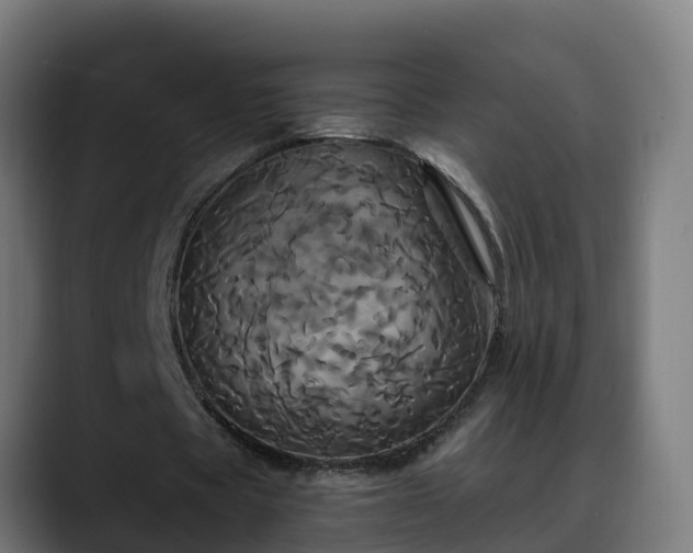 X0000088470529200705291550