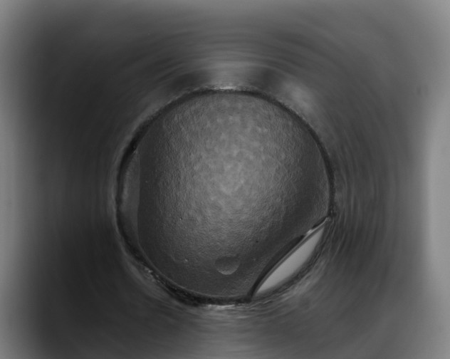 X0000088470530200705291550