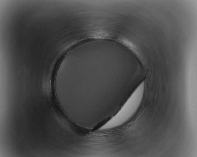 X0000088470531200705291550