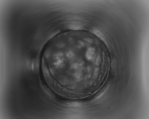 X0000088470533200705291550