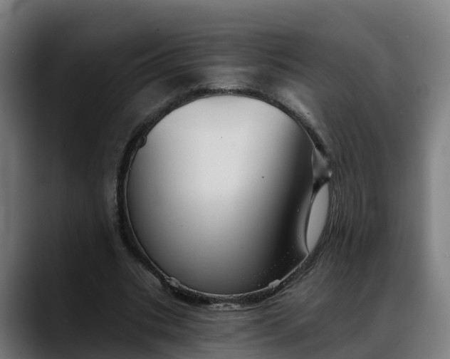 X0000088470535200705291550