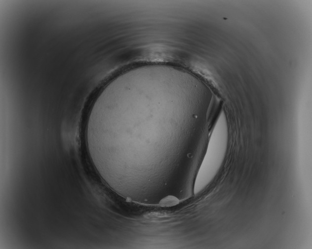 X0000088470536200705291550