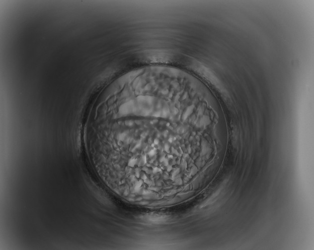 X0000088470537200705291550