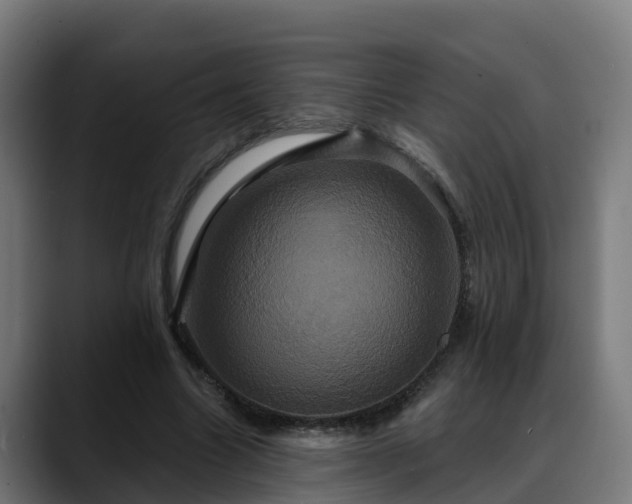 X0000088470538200705291550