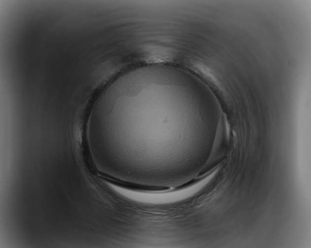 X0000088470539200705291550