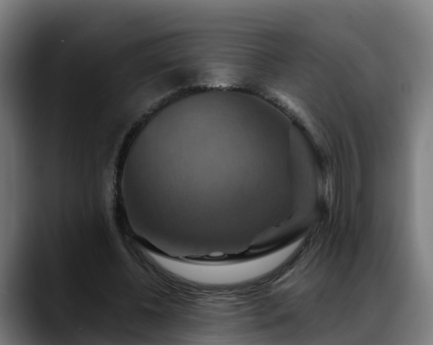 X0000088470540200705291550