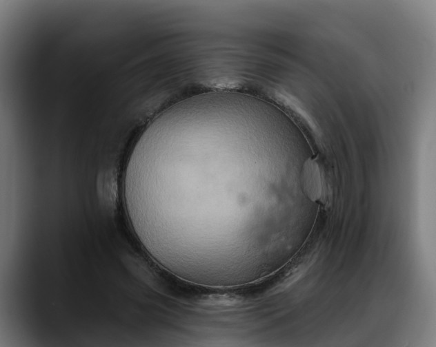 X0000088470541200705291550