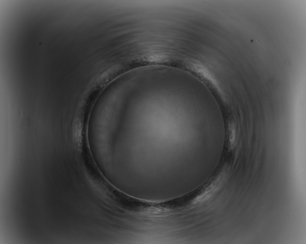 X0000088470542200705291550