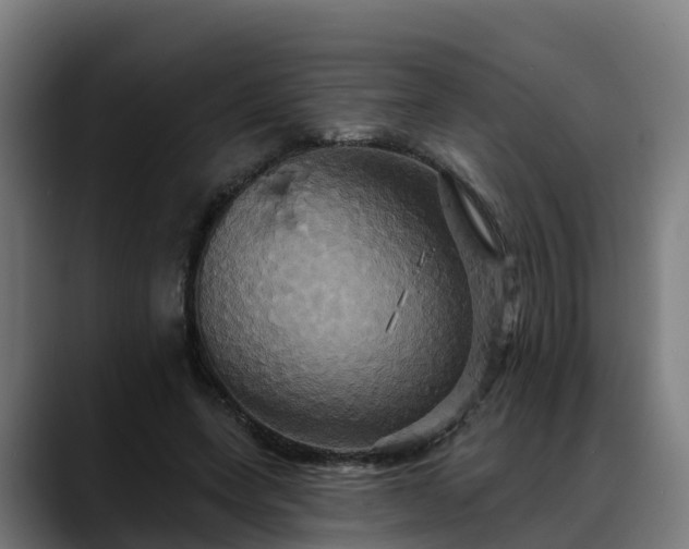 X0000088470543200705291550