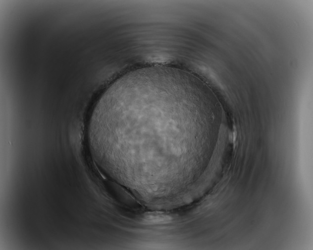 X0000088470544200705291551