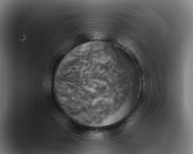 X0000088470545200705291551