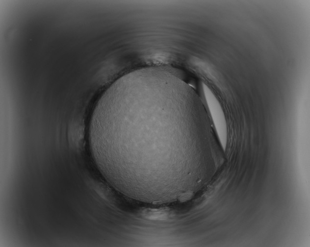 X0000088470548200705291551