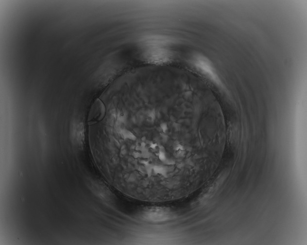 X0000088470549200705291551