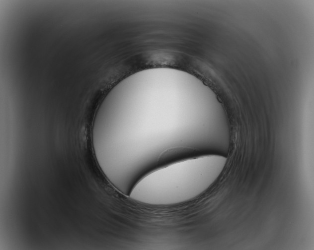 X0000088470551200705291551