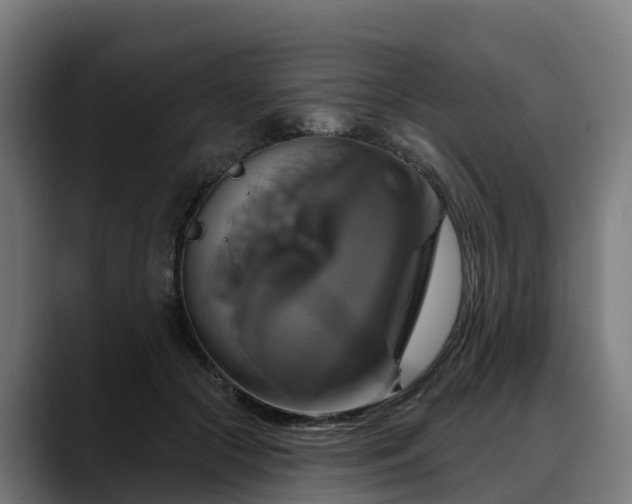 X0000088470553200705291551