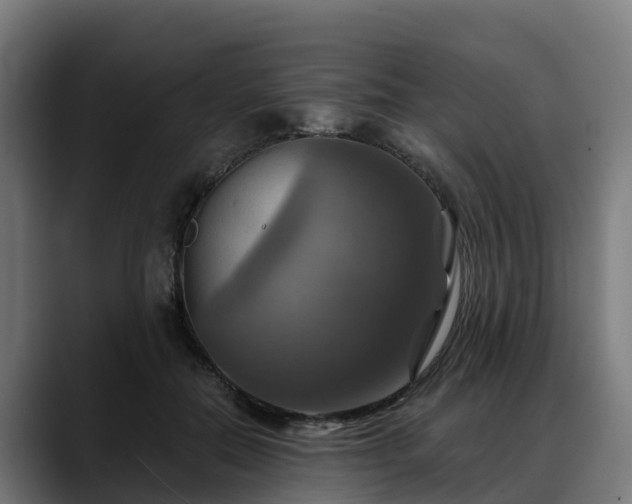 X0000088470554200705291551