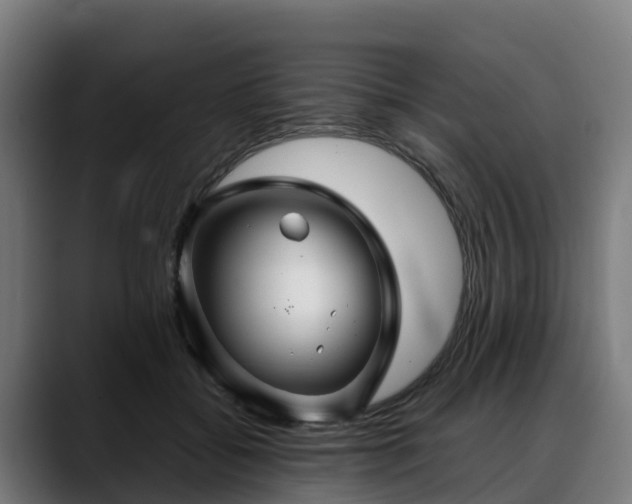 X0000088470556200705291551