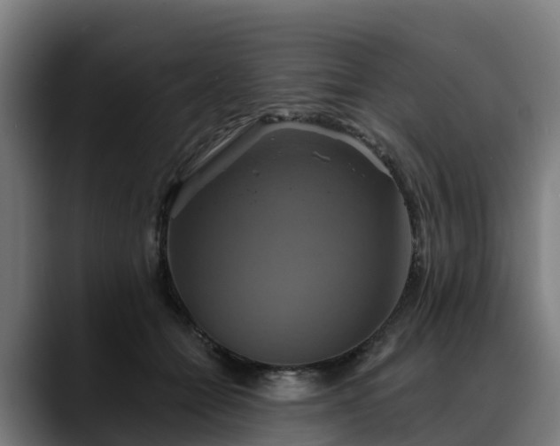 X0000088470558200705291551