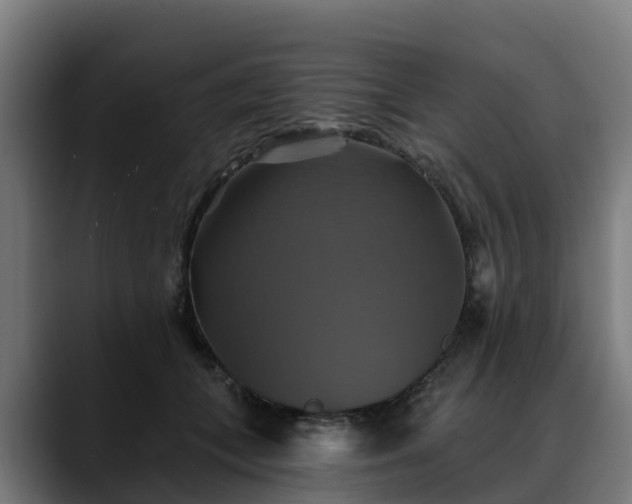 X0000088470559200705291551