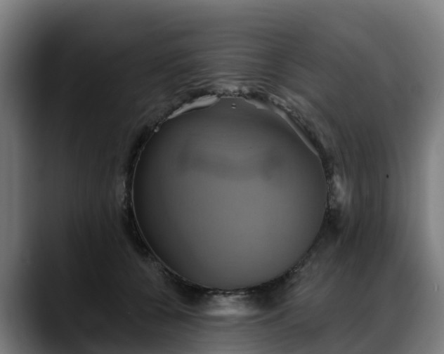 X0000088470560200705291551