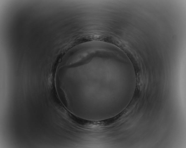 X0000088470563200705291551