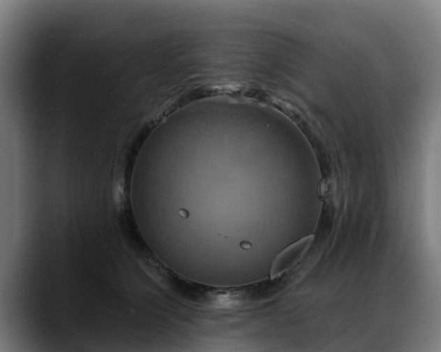 X0000088470564200705291551