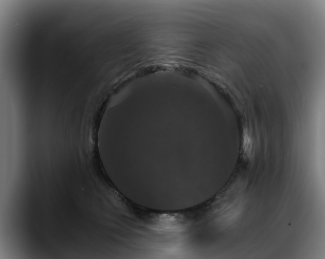 X0000088470566200705291551