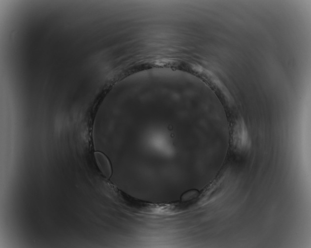 X0000088470569200705291551