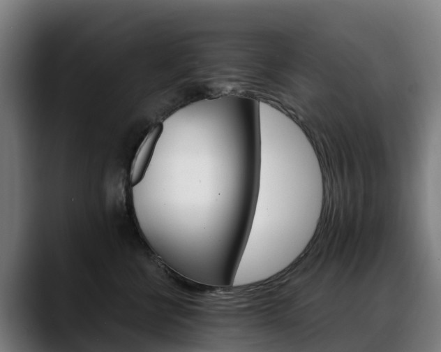 X0000088470570200705291551