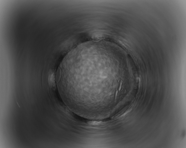 X0000088470575200705291551