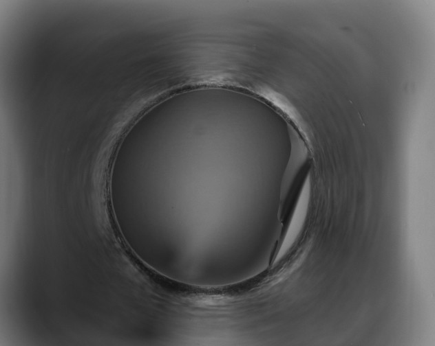 X0000088470577200705291550