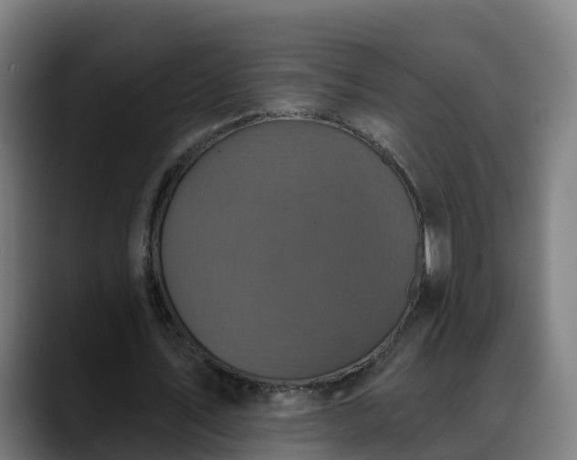 X0000088470579200705291550