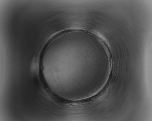 X0000088470580200705291550