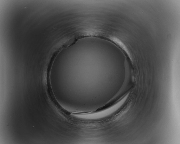 X0000088470581200705291550