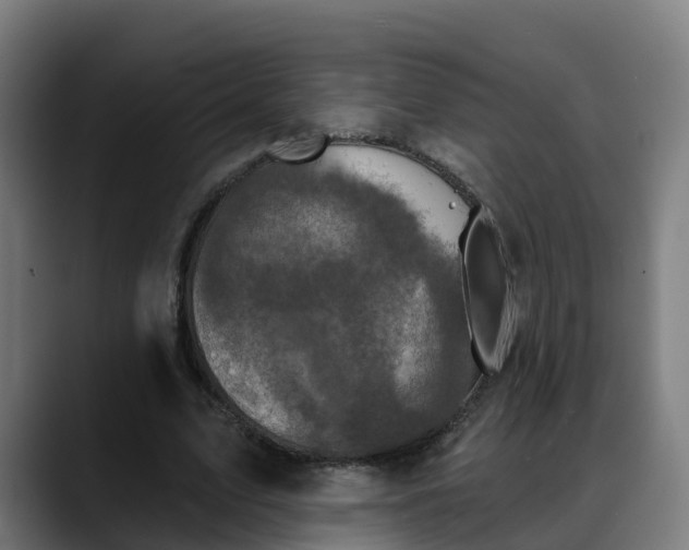 X0000088470583200705291550