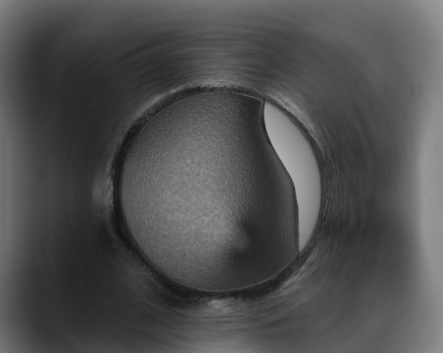 X0000088470584200705291550